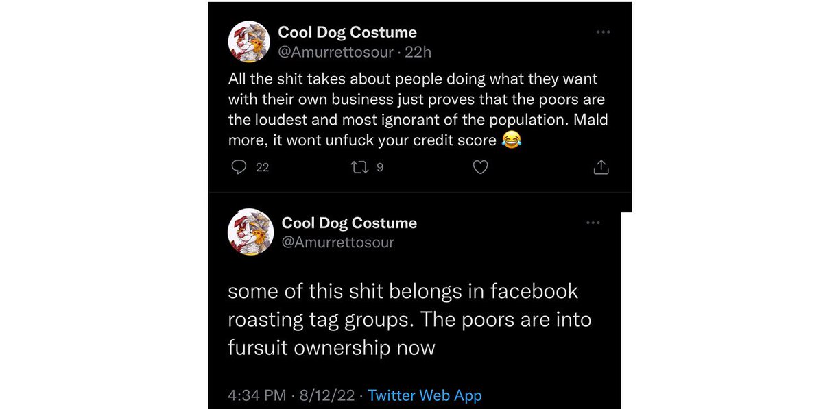 AbitaFox's tweet photo. I hate callout posts but sometimes some people need to be ridiculed into non-existence. Anyone who uses the phrase “the poors” gets zero respect from me because they have none for anything or anyone else. https://t.co/2xlYCaGgf0