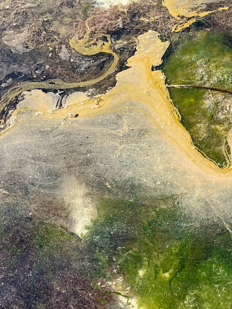 Inis Mór tweet media