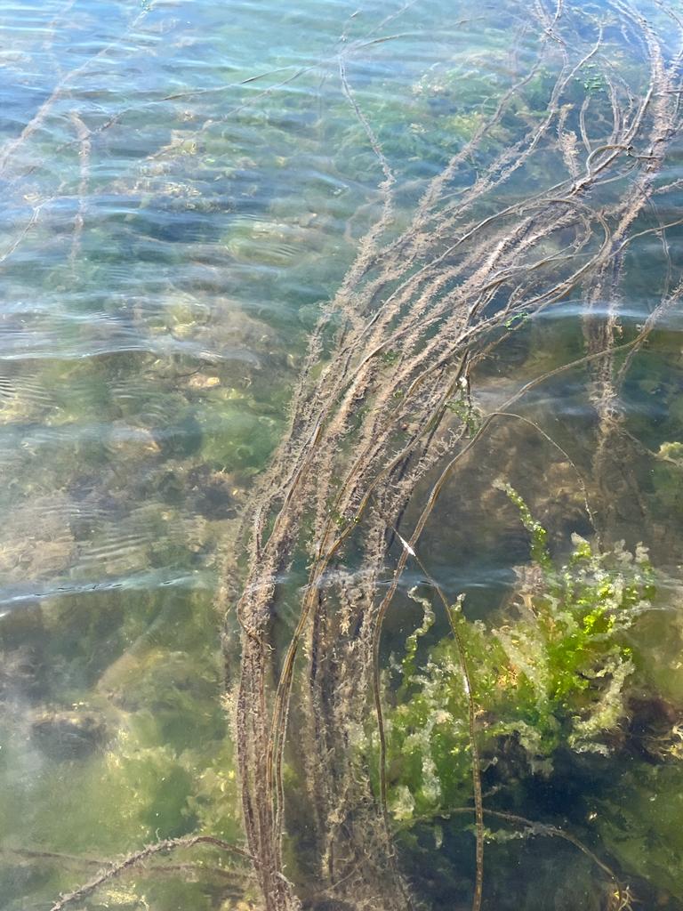 Inis Mór tweet media