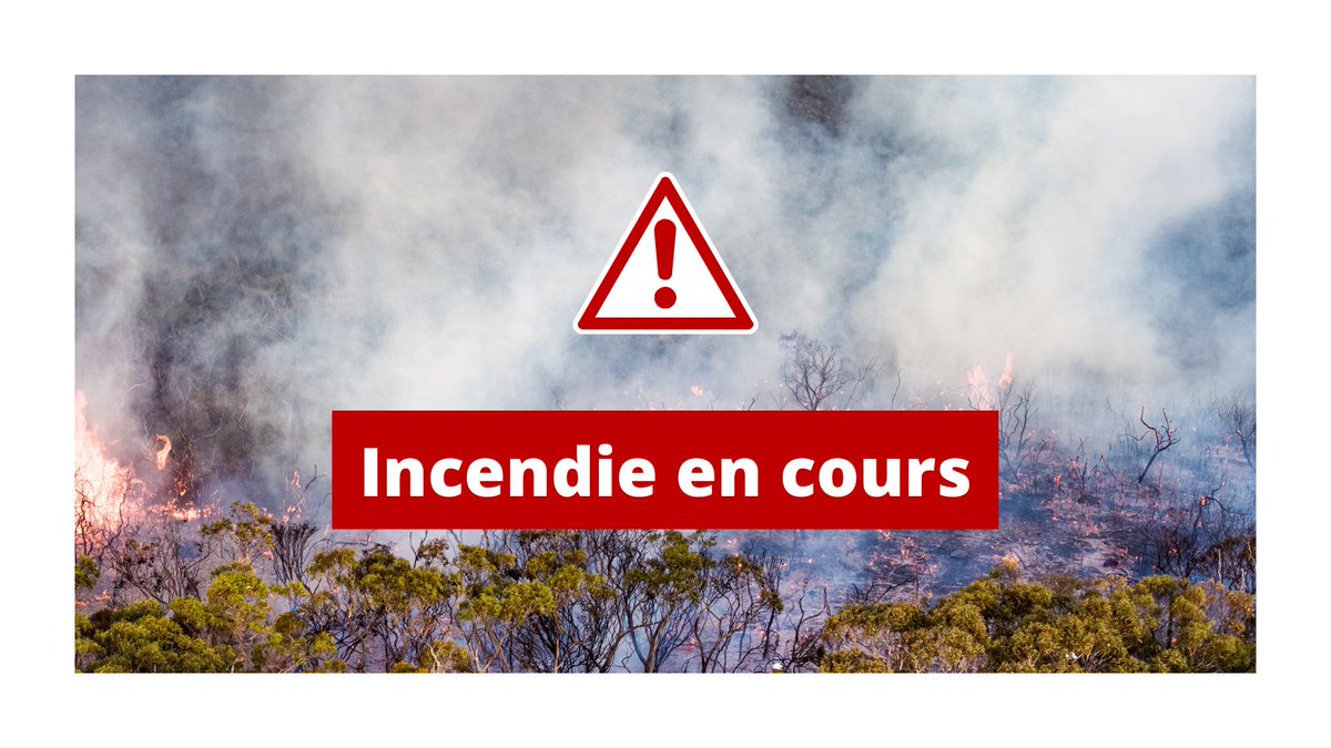 🔥 #Feu sur le secteur de secteur de Trélazé /Loire-Authion (Brain-sur-l'Authion)
 Actuellement :
-160ha brulés
-187 sapeurs-pompiers engagés
-47 engins mobilisés
-Une cinquantaine d'🏠évacuées

Les sapeurs-pompiers vont travailler toute la nuit sur cet #incendie <a href="/Gendarmerie_049/">Gendarmerie de Maine et Loire</a>