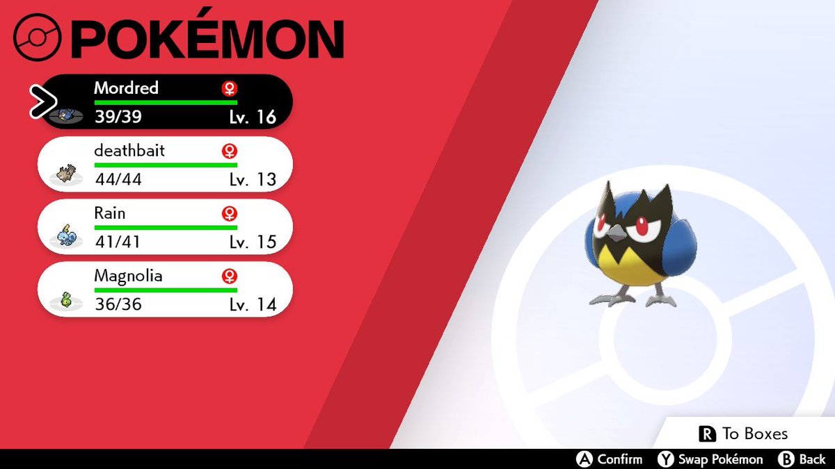 LouisZexa11's tweet photo. Only a couple hours into mine and @RyzorGick #nuzzlock 3/4 happy with my team haha we should be back on the grind on Monday! Give us both a follow on #twitchtv @twitch.tv/zexaaltieri11 
#pokemon #PokemonSwordShield https://t.co/UcmjM7TvyE