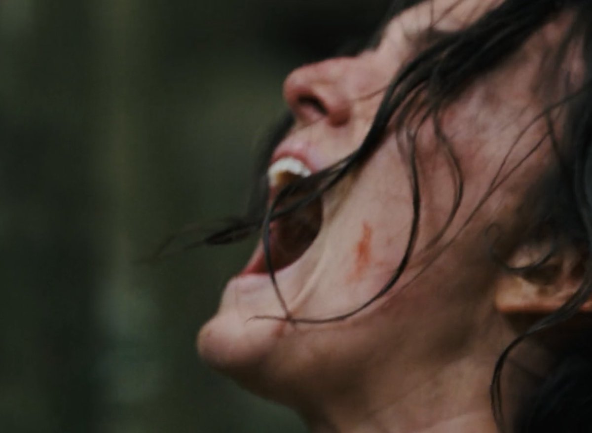 adoringamangela's tweet photo. i will never get over now fucking good the opening sequence to ep1 was #RenewTheWilds #SaveTheWilds The Wilds Season 3 https://t.co/6PSZJmDAgp