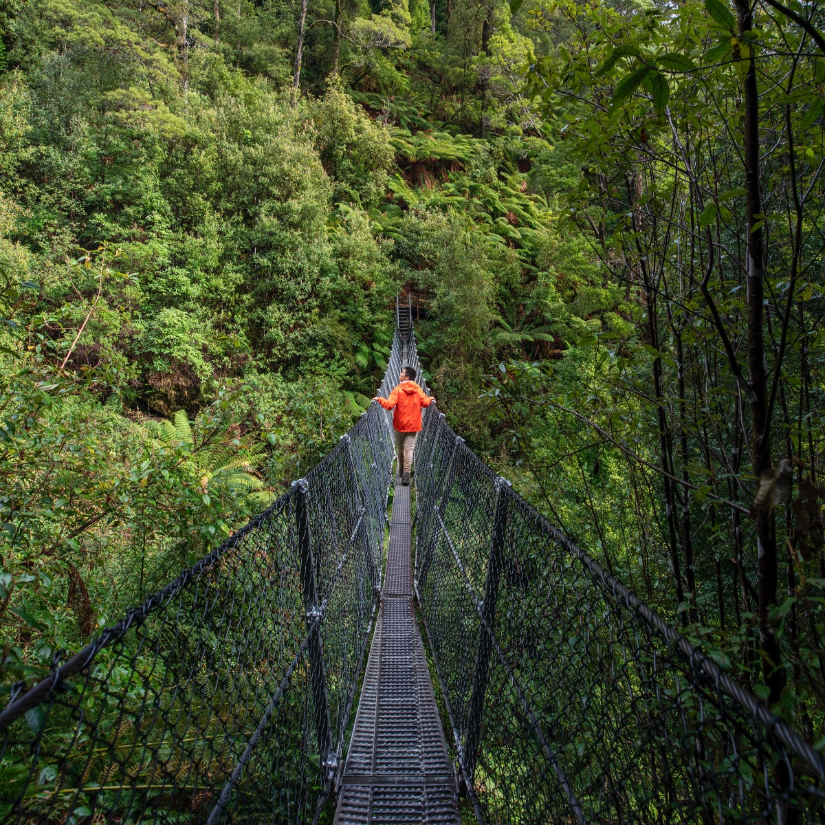 Australia's tweet photo. One step at a time, folks - you'll want to savour these views ⛰️

Kudos to IG/_danieltran_ for capturing the spectacular scenery near #MontezumaFalls in @tasmania's stunning West Coast Range.

#seeaustralia #discovertasmania #holidayherethisyear https://t.co/5y2oj9f3o7