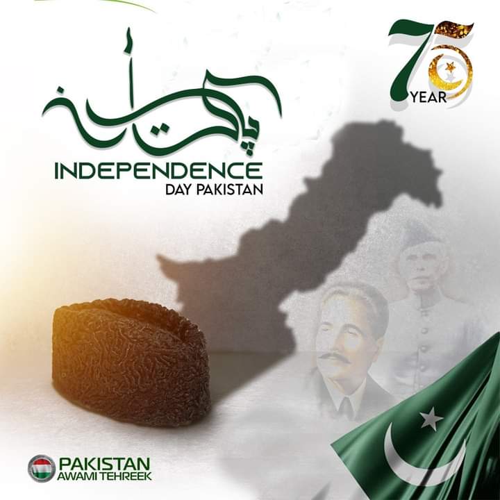 PATofficialSM's tweet photo. #Happy75th__IndependenceDay to #Pakistani Nation. Let's resolve on the on the occasion of "DIAMOND JUBLEE" to cleanse #Pakistan from the obsolete political system and realize the QUAID-E-AZAM's dream and get real freedom!
#جشن_آزادی__مبارک https://t.co/8dMoB9QMsP