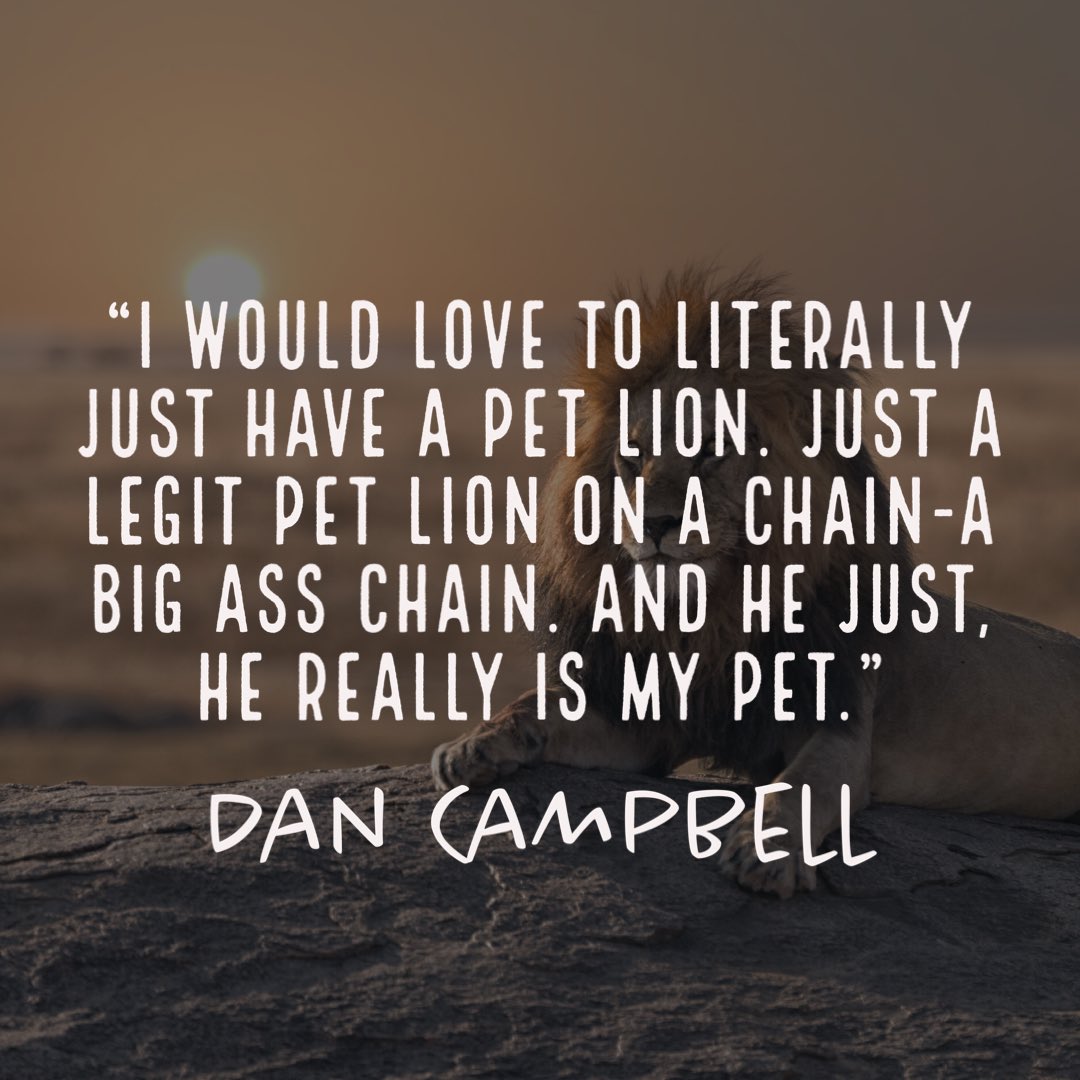 InspiringDanHC's tweet photo. Dream big…one day you can own a lion. #Lions #DetroitLions #NFLTwitter #NFLPreseason https://t.co/ikH9XWn0gw