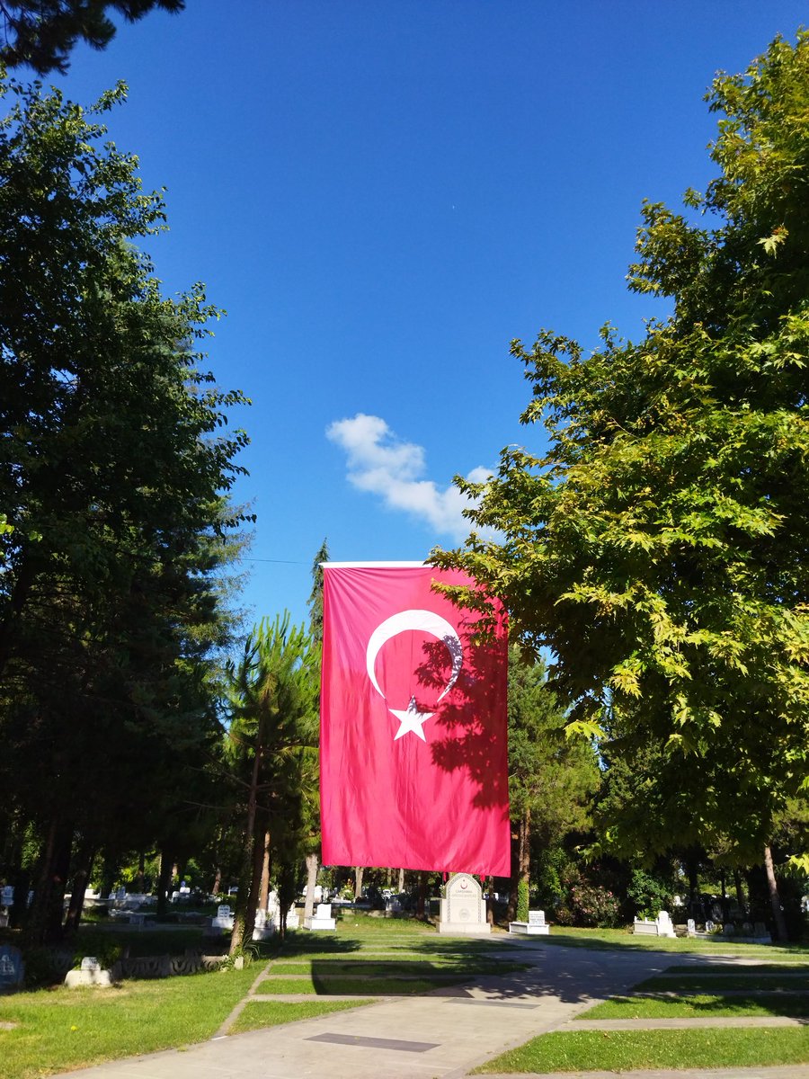 Sevde Akı 🇹🇷 tweet media