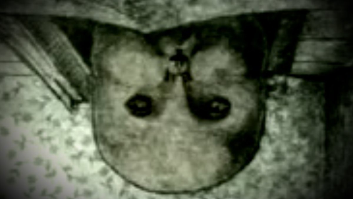 blameitonjorge tweet media