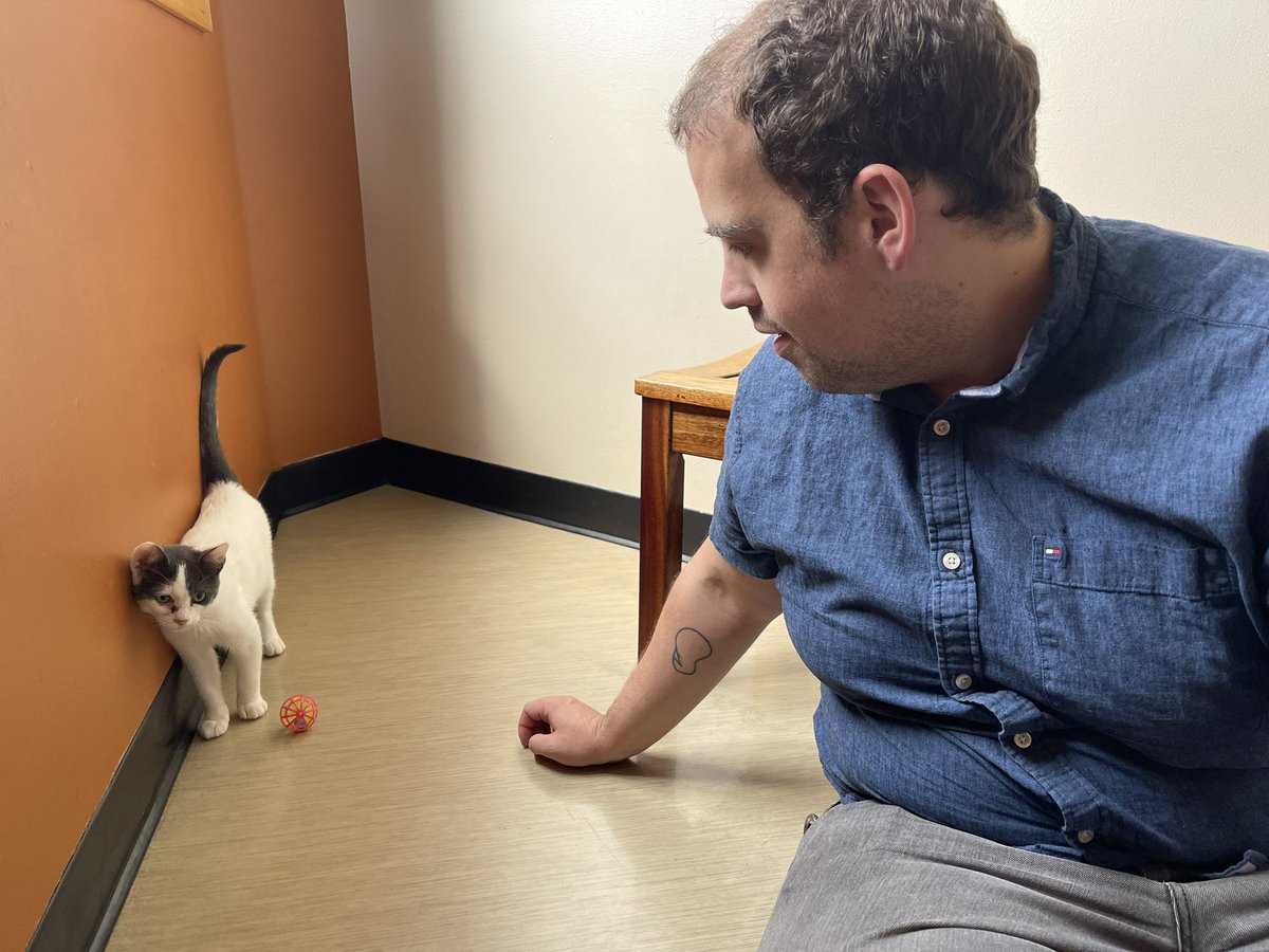 Katherine D. Morgan (she/her) 🍉 tweet media