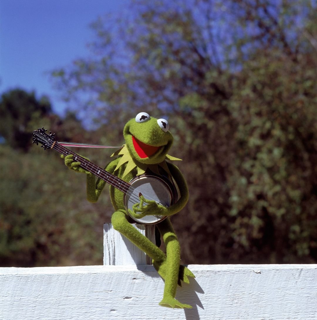 WriteGator's tweet photo. Happy International Lefthanders Day!  I'm the only lefty in my whole family.  And therefore the only one in my right mind!  I deserve a cookie!  Notice my favorite Frog is also a lefty! https://t.co/9jSqEeshdH