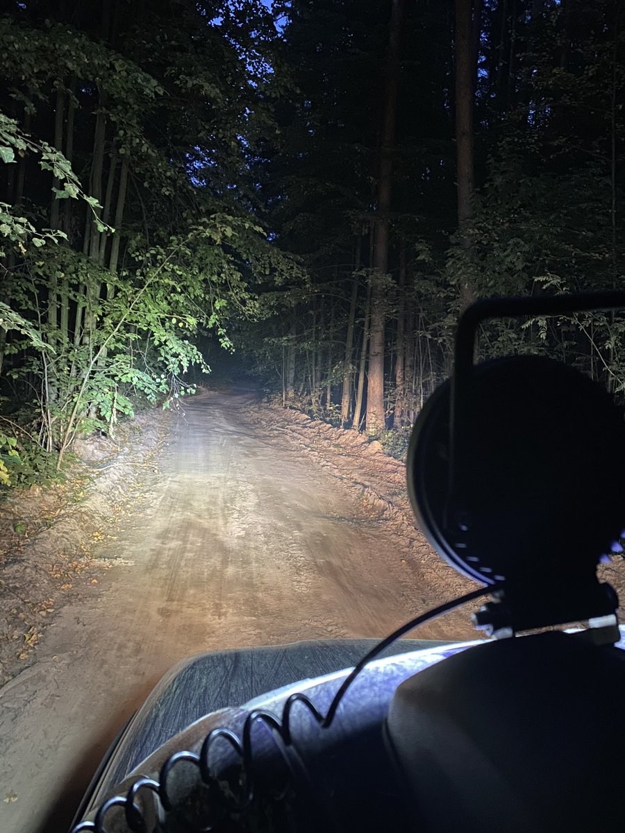 Кто ты, когда чешешь лес на машине: ветер или лиса? А может, ветролис?