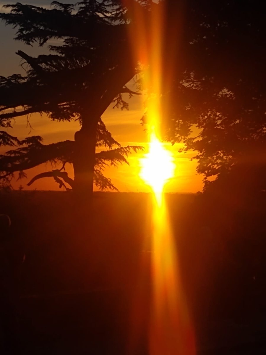 algarnickholmes's tweet photo. Miss the gentle rays of summer?
https://t.co/AFaIYk1GbX https://t.co/qWVjqTX0xq