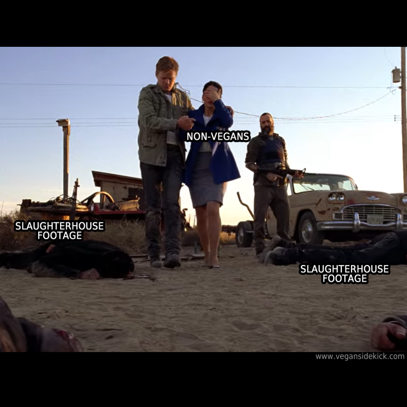 Vegan Sidekick (@vegansidekick) on Twitter photo 