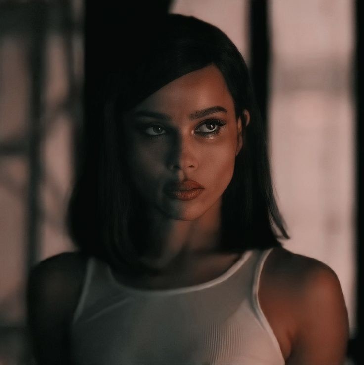 catwoman (canon bisexual)