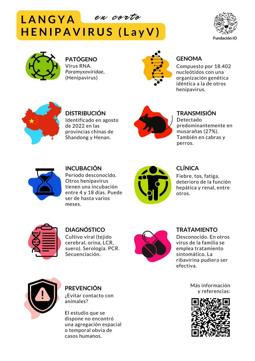 SEMERGEN_CV's tweet photo. 🔬 Identificado un nuevo virus en China. Langya henipavirus #LayV
Infografia vía @fundacionio https://t.co/aJ8ejhPRZI