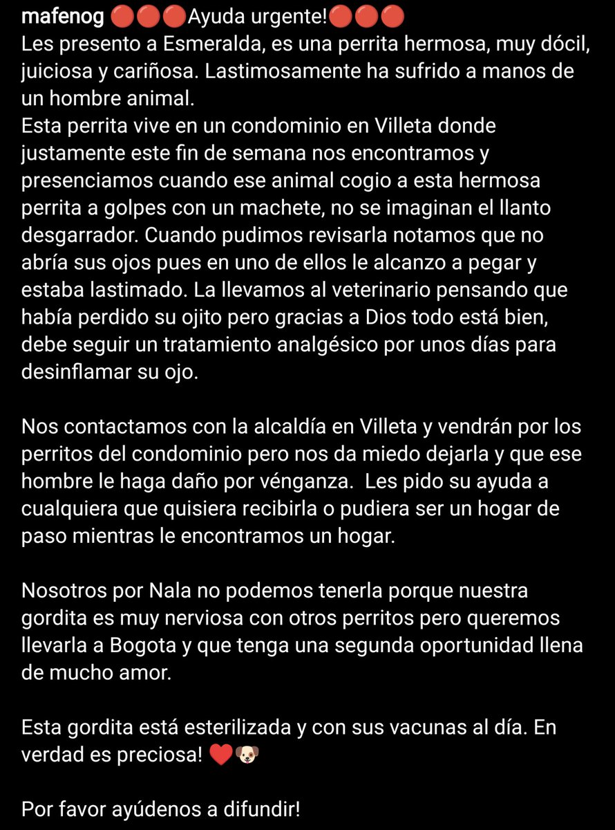 Estefanía Fajardo De la Espriella tweet media
