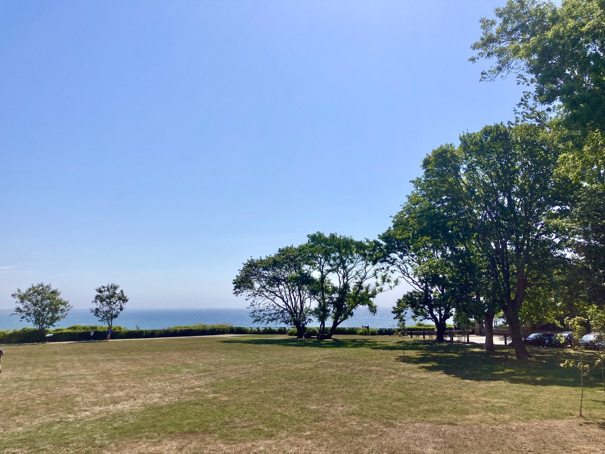 Thoroughly enjoyed the <a href="/NeuralDevGRC/">Neural Development Gordon Research Conference</a>! The science and environment were truly excellent. I feel reinvigorated and have lots of new ideas. Thanks to the Carl Storm fellowship for support to attend 🧠