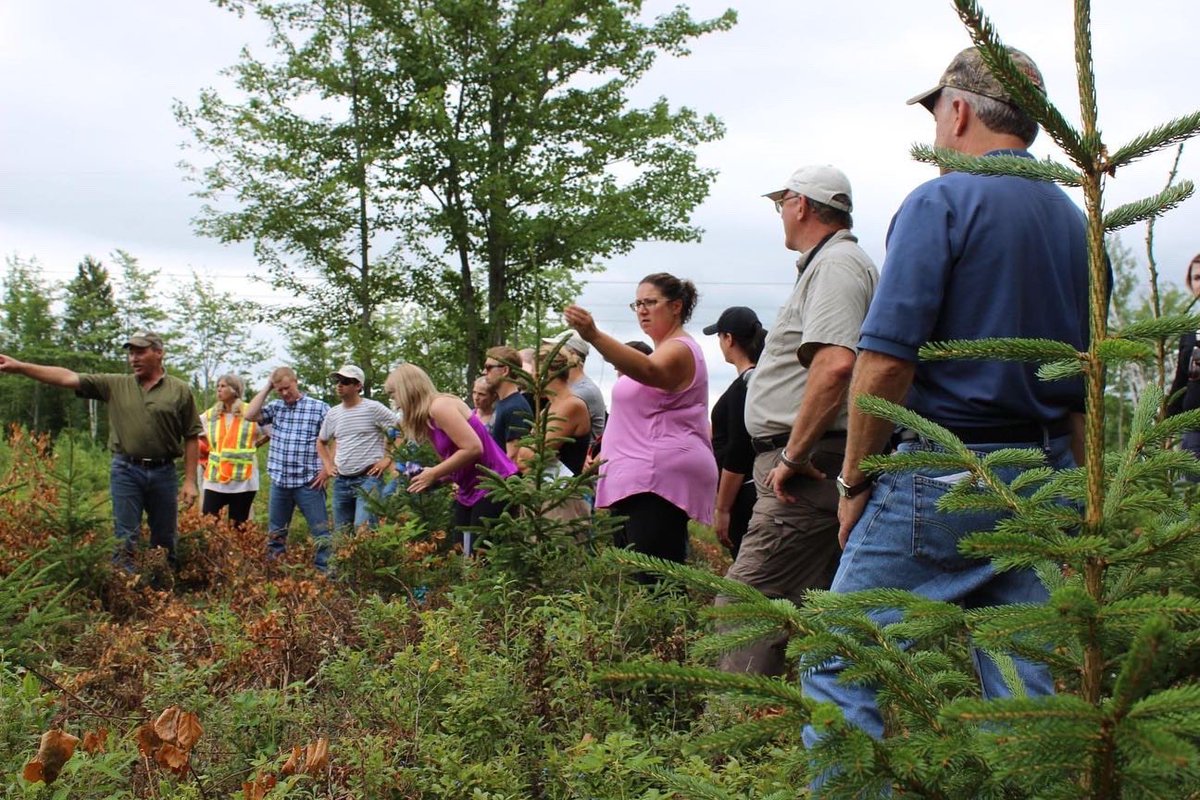TourAtlantic's tweet photo. We welcome the return of the Atlantic Teachers’ Tour Aug 15-18! Looking forward to getting back outside with teachers to do forestry and natural resource education in Moncton, NB! @MCFTfredericton  @WoodlandsForum @_ForestNS @nbforests @science_east @jdirvinglimited @UNBForEM https://t.co/FDzmOSyOkU