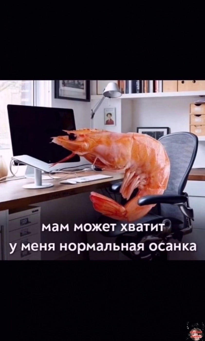 Креветка за компьютером
