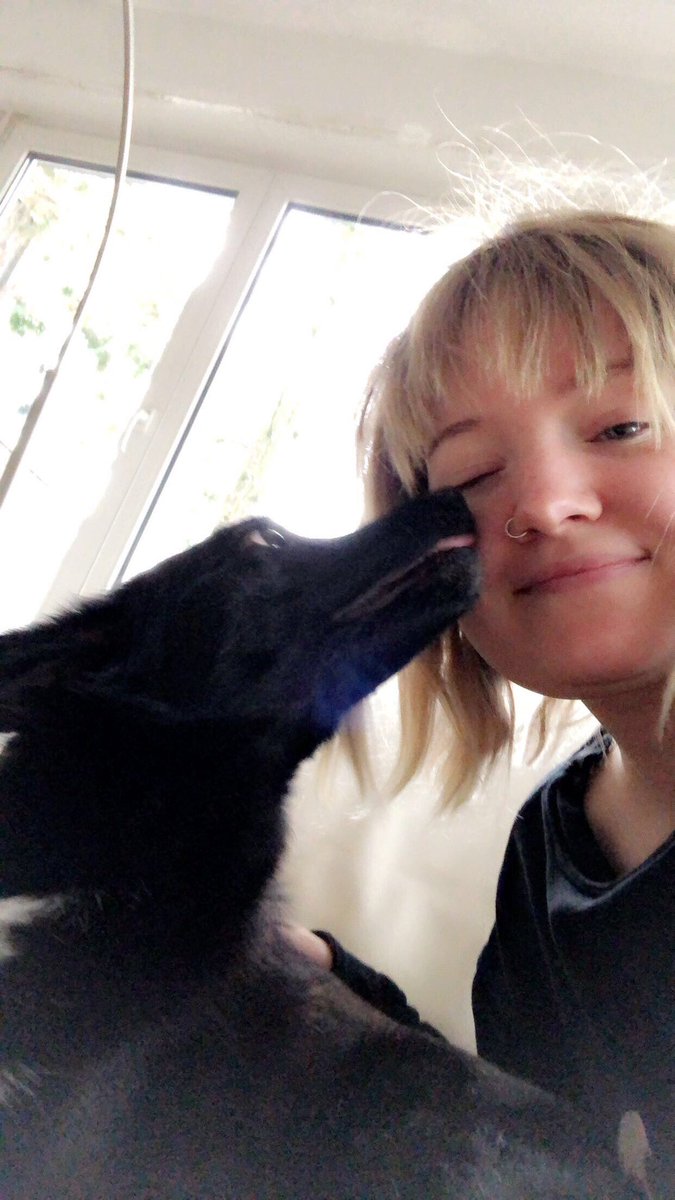 alina (taylor's version) tweet media