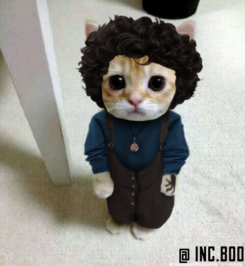 p_incubus's tweet photo. #osni gatinhos paranormais 
TODO MUNDO VAI MORRER HOJE https://t.co/1vlfODKvcd