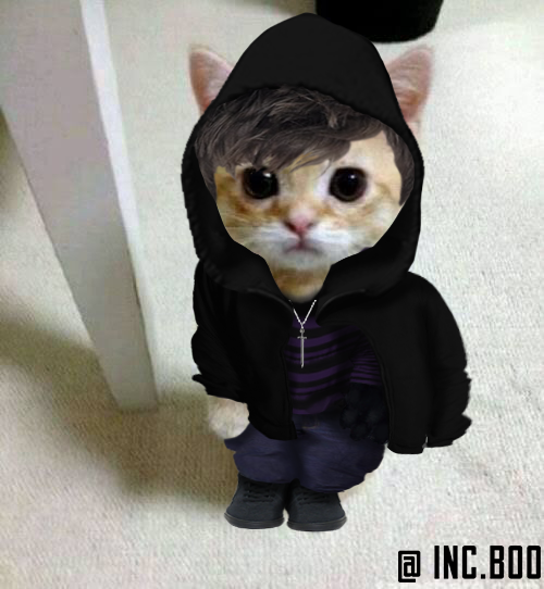 p_incubus's tweet photo. #osni gatinhos paranormais 
TODO MUNDO VAI MORRER HOJE https://t.co/1vlfODKvcd