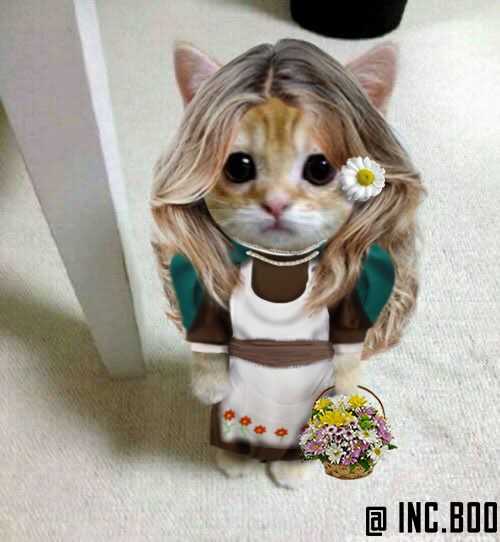 p_incubus's tweet photo. #osni gatinhos paranormais 
TODO MUNDO VAI MORRER HOJE https://t.co/1vlfODKvcd