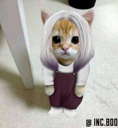 p_incubus's tweet photo. #osni gatinhos paranormais 
TODO MUNDO VAI MORRER HOJE https://t.co/1vlfODKvcd
