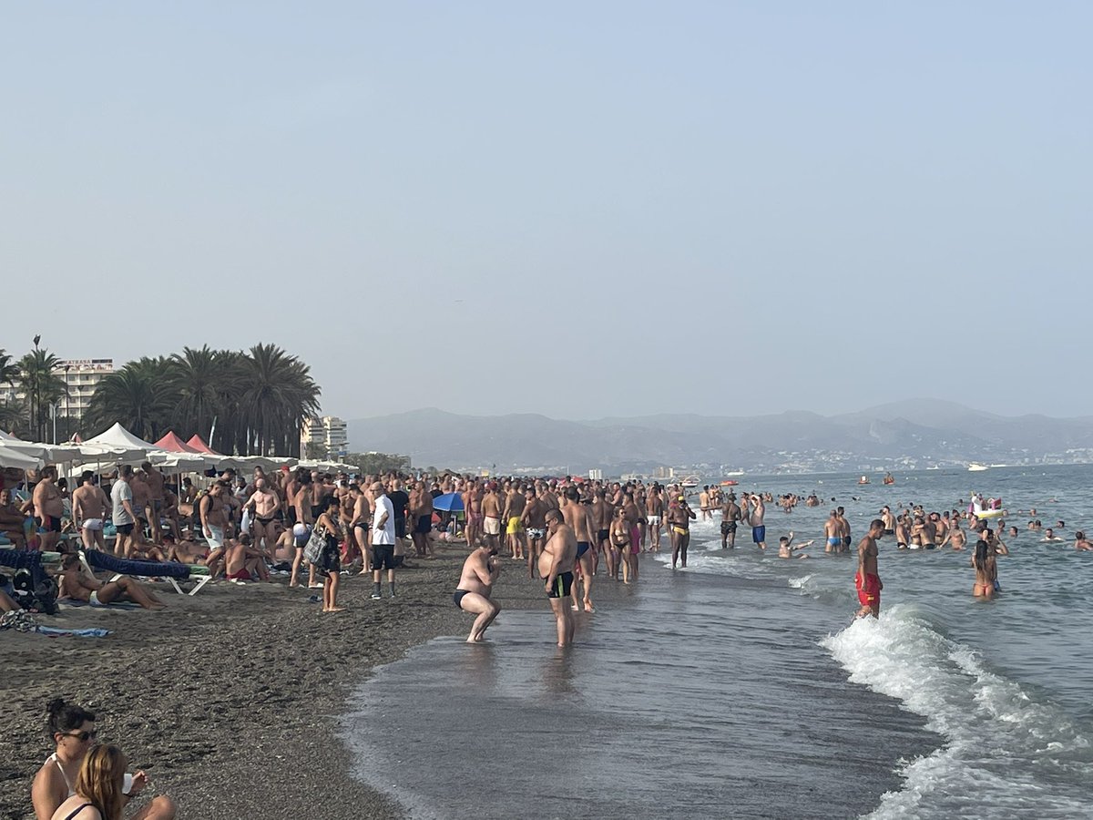 dcrossbowxxx's tweet photo. Vous voyez tout ces beaux #bears à la plage de #Torremolinos?! Des #musclés, des #gras, des plus #minces, des #obèses, des jeunes, des vieux, des blancs, noirs, arabes, asiats, #clubbers, #baiseurs, … elle est magnifique cette communauté qui ne juge pas, qui ne se la pete pas… https://t.co/Ap8zuX7AVl