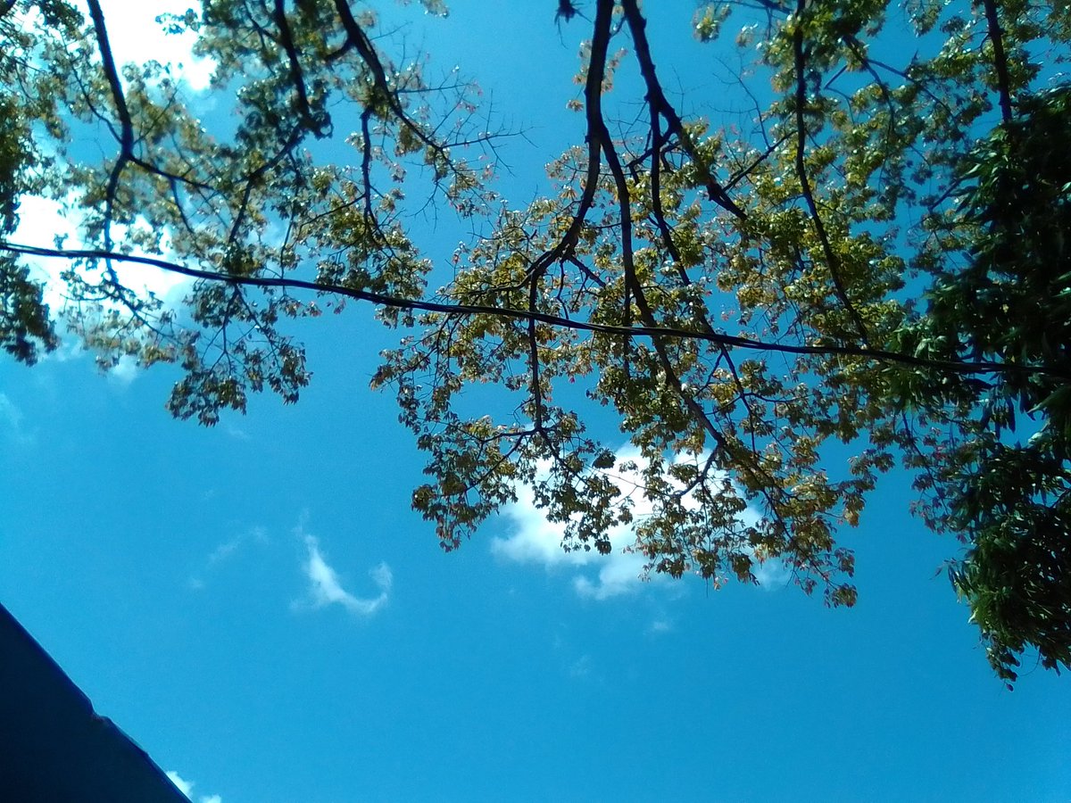 Managua Nicaragua.