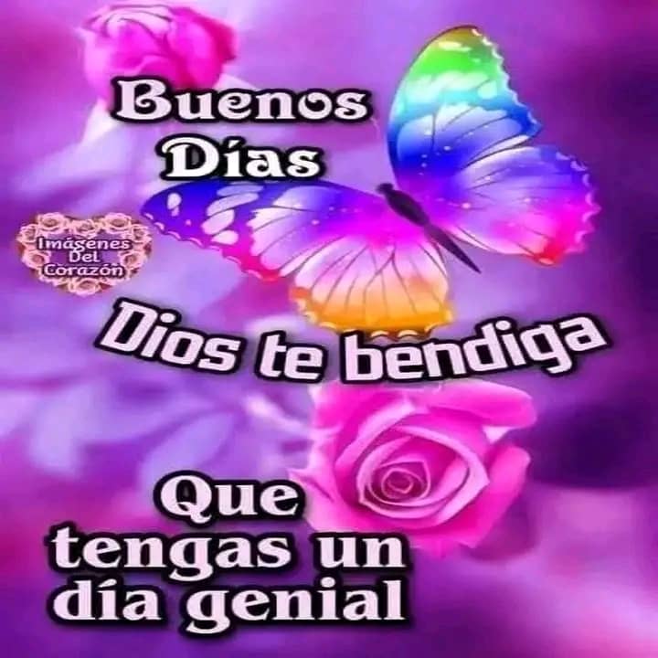 yudithprado24's tweet photo. @MSVSocial @Mippcivzla @NicolasMaduro @MSVEnLinea @veQRSocial @MSVTuiteros Dios lo siga bendiciendo https://t.co/TyLyPyLTgN