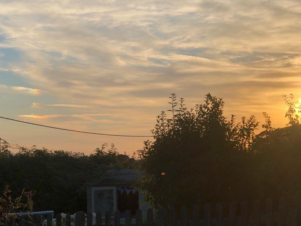 ChiddinglyRob's tweet image. magnificent - sunset sundogs this evening over Chiddingly, tricky to see as the clouds were so skinny, but sundogs nonetheless...☀️🐶🐶☀️