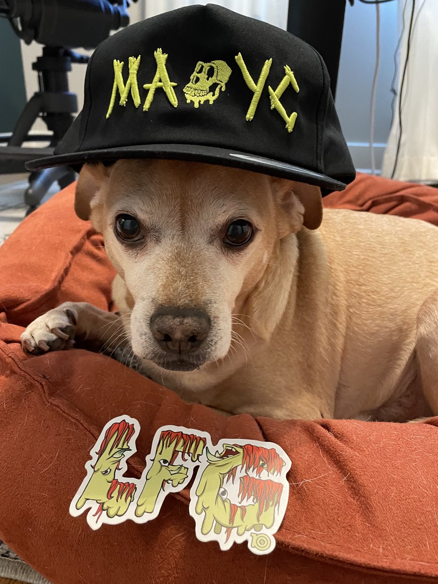 #GIVEAWAY ALERT! 
Happy Weekend Fam - BLUE wanted me to remind y'all that on 8/16; 12pm ET, ONE lucky winner will score:
✅ a brand new @MAYC hat
✅ #LFG sticker from <a href="/therealkingship/">KINGSHIP - BAYC  🍌 🦍</a> 

To Enter:
1. Follow us @block3strategy 
2. Retweet + Tag 3 Friends

#NFTGiveaways #nft #Web3