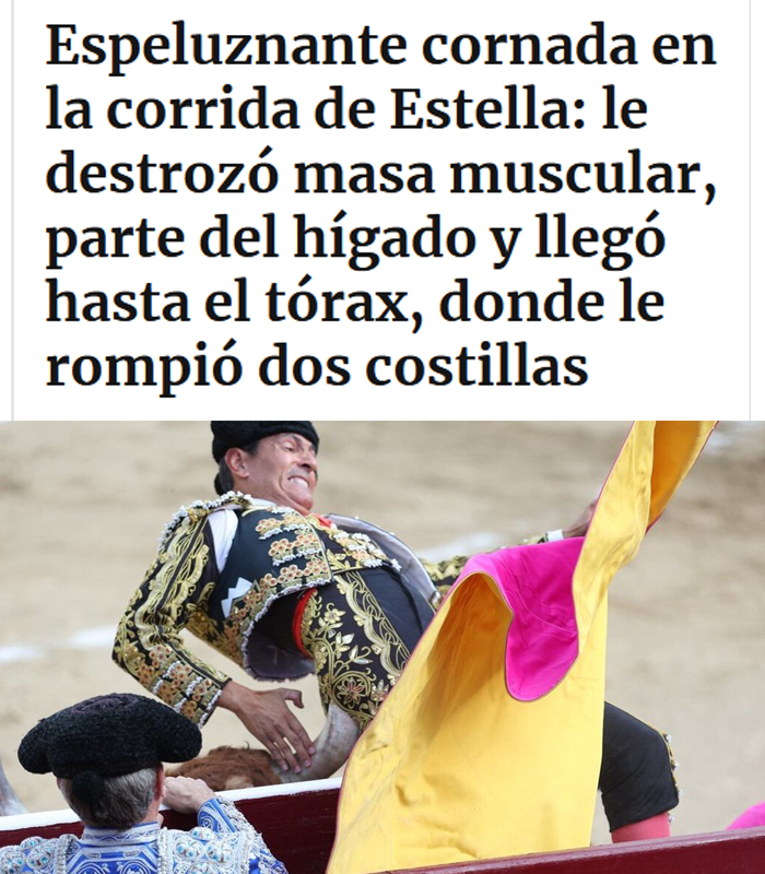 Y no le dolió nada porque el torero libera endorfinas del placer durante su acto cultural 🤨