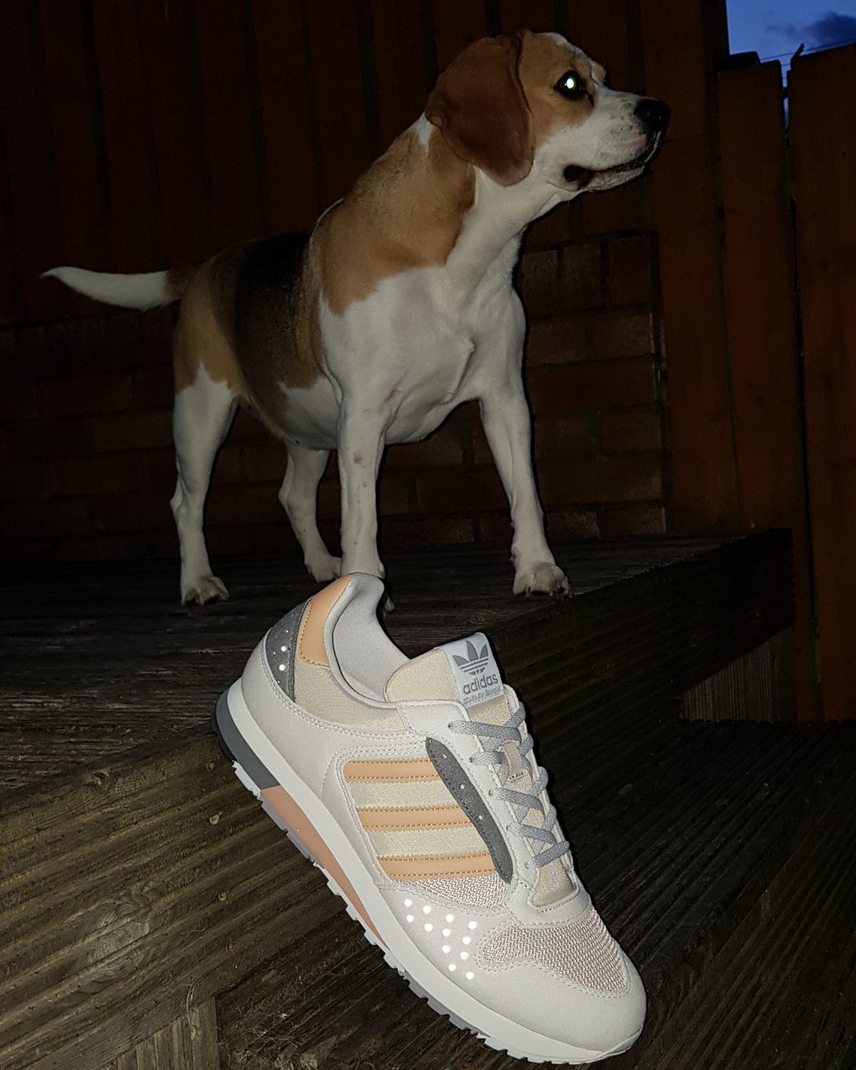 DeadstockDixon's tweet photo. When Your New #ZX620Spzl go with your 🐶🤣 @DeadstockUtopia
#adidas, #adidasZX,#ZX620,#Spezial https://t.co/dKL6bpq4GF