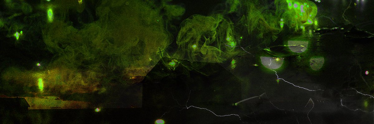 Thrashing and bashing through planets, colliding and crashing. Speeding towards <a href="/piratesmeta/">Pirates of the Metaverse 🔛 FLOW</a> I am racing, I am dashing.

I am the unanswered question lingering, filthy residue of a momentary daydream. I am the keeper of secrets. I am the answers to all equations.

I am Essential.