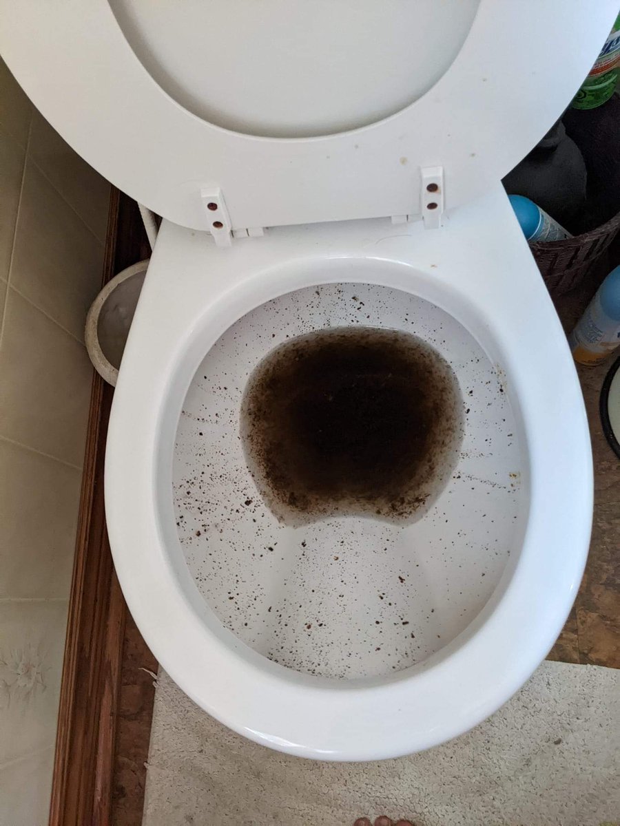 Ottawa Wind Concerns tweet media