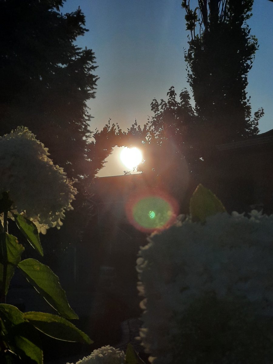 drebpics's tweet photo. August 12, 2022, 7:37 pm https://t.co/eQvyo23GC6