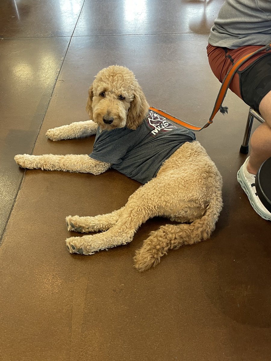 TVMustangsVB's tweet photo. Our team enjoyed a family breakfast this morning with one of our biggest fans, DUKE!  #familybonding #breakfastofchampions https://t.co/MXqoJIwiMv
