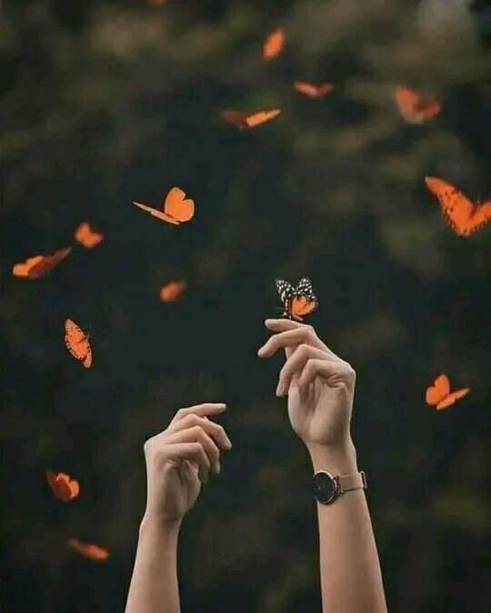 orfinasmaa1's tweet photo. " لا تتأسف على نجمة ضاعت منك  فالسماء مليئة بالنجوم ، و إن لم تكن كل النجوم من نصيبك لا تيأس لعلّ القمر بنفسه يكون من نصيبك "❤📿 https://t.co/oAoY3cgIqg