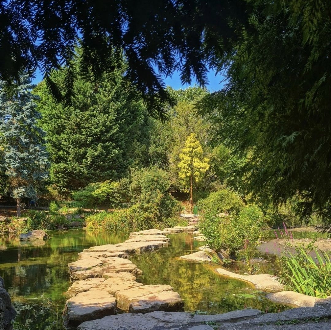 SakuraKatieChan's tweet photo. 🚶‍♀️Went for a walk around the highfields, not the greatest of ideas in this heat wave but we kept in the shade and had a great time.🚶‍♀️ #walking #heatwave #greenry🍃 #highfieldspark #nottingham https://t.co/B2tDFDvKPI