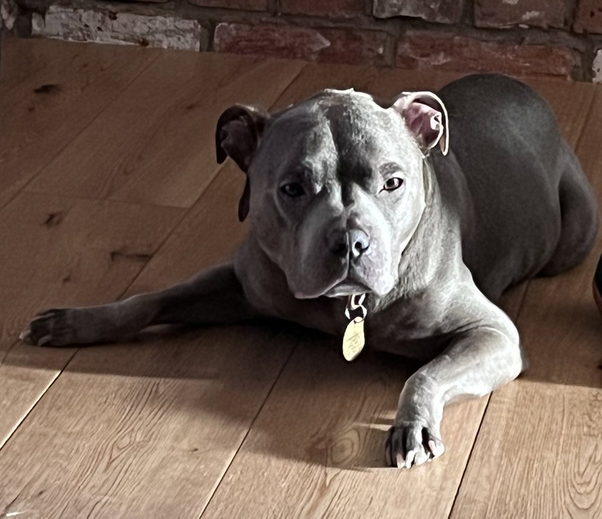 Dr Camilla Darling tweet media