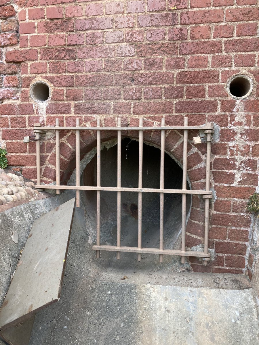 𝚂𝚔𝚞𝚕𝚕𝚆𝚒𝚝𝚑𝙱𝚎𝚊𝚛𝚍.𝚎𝚝𝚑 💀 tweet media