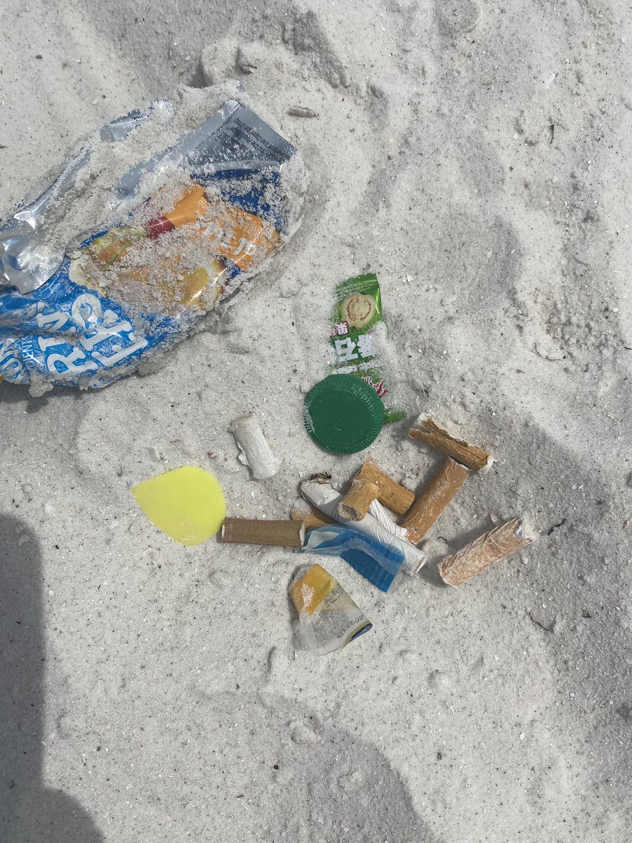 Starting our beach clean up at Clearwater beach    The beach looks VERY clean with ample garbage cans around but when you start looking for the trash there is definitely a problem! 🚭 2 mins in a a very small area! 
#SeabumsNfts
#plasticfree #BumsCleanBeaches