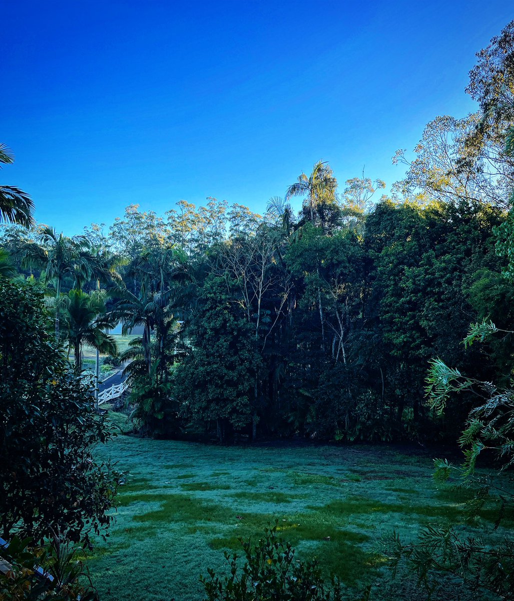 Sandi James PGPsy MEd CEDC tweet media