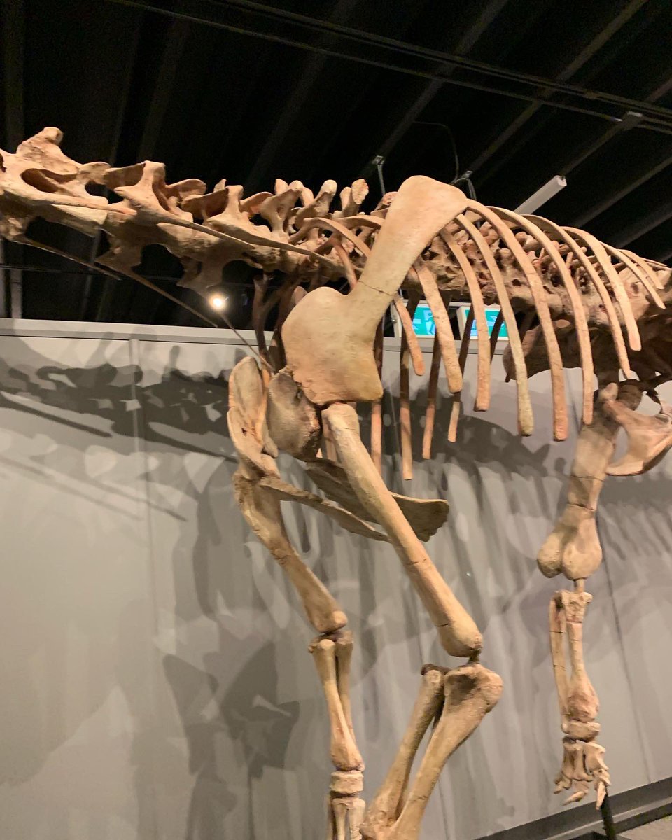 Betty (Jackson) Clost (she/her) tweet media