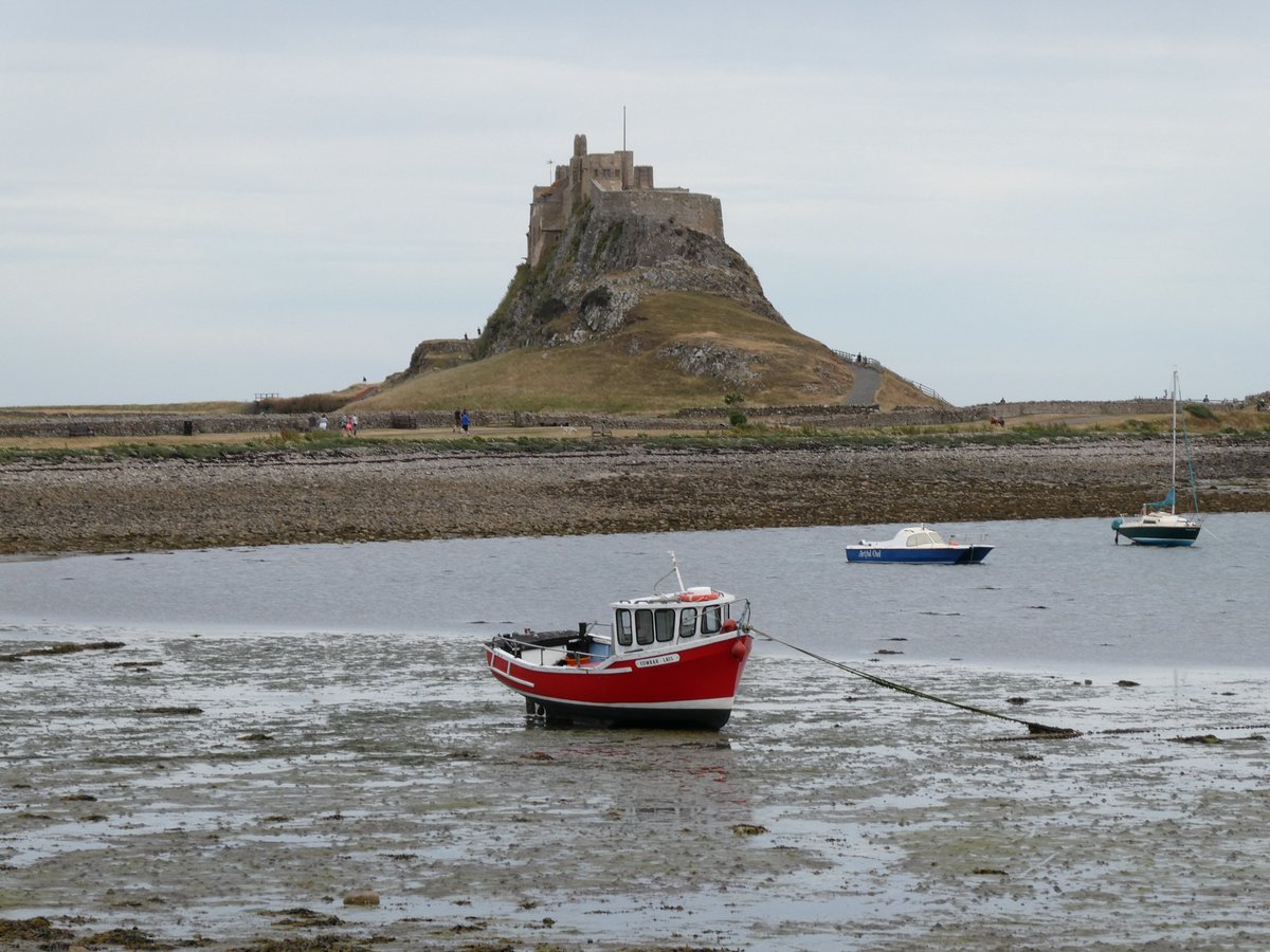 Lisa_C_Myers's tweet photo. Lindisfarne Castle #lindisfarne #lindisfarnecastle https://t.co/m7HScIkQWQ