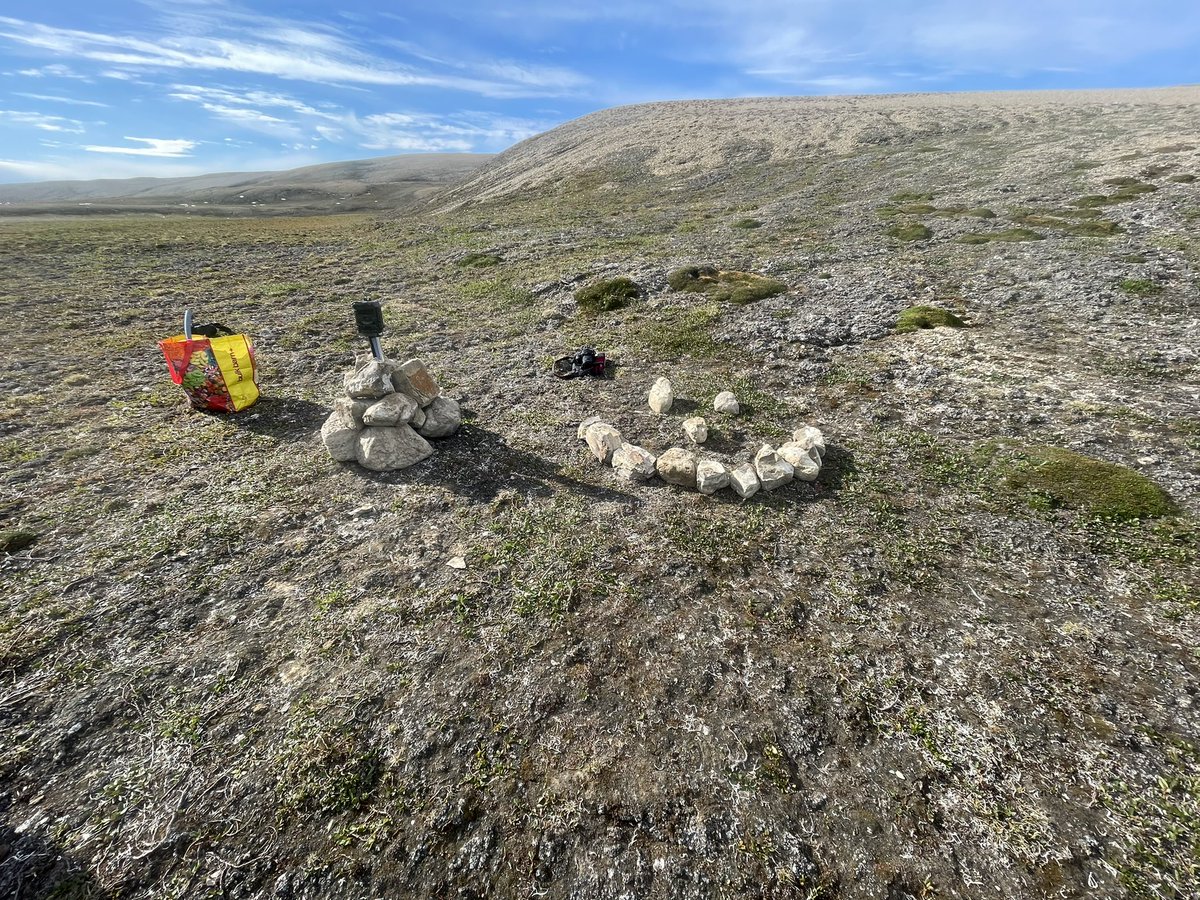 Laura Brown tweet media