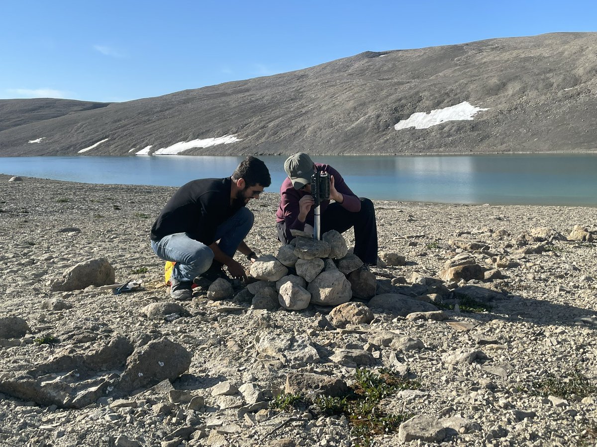 Laura Brown tweet media