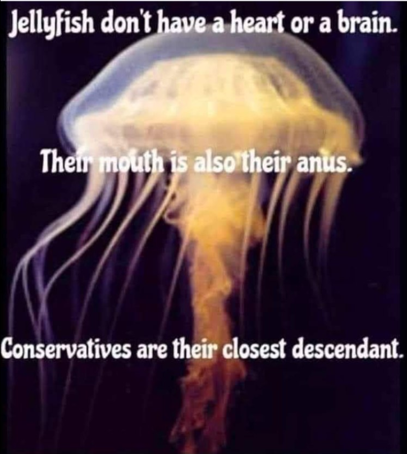 Saccaguru's tweet photo. #CostOfToryGreedCrises #jellyfishtories
#Greed #corporategreed #costOfGreedCrisis
#FollowBackSaturday #UniteB1
#JohnsonOut201 #ToriesOut37 https://t.co/guq2o2G4W4