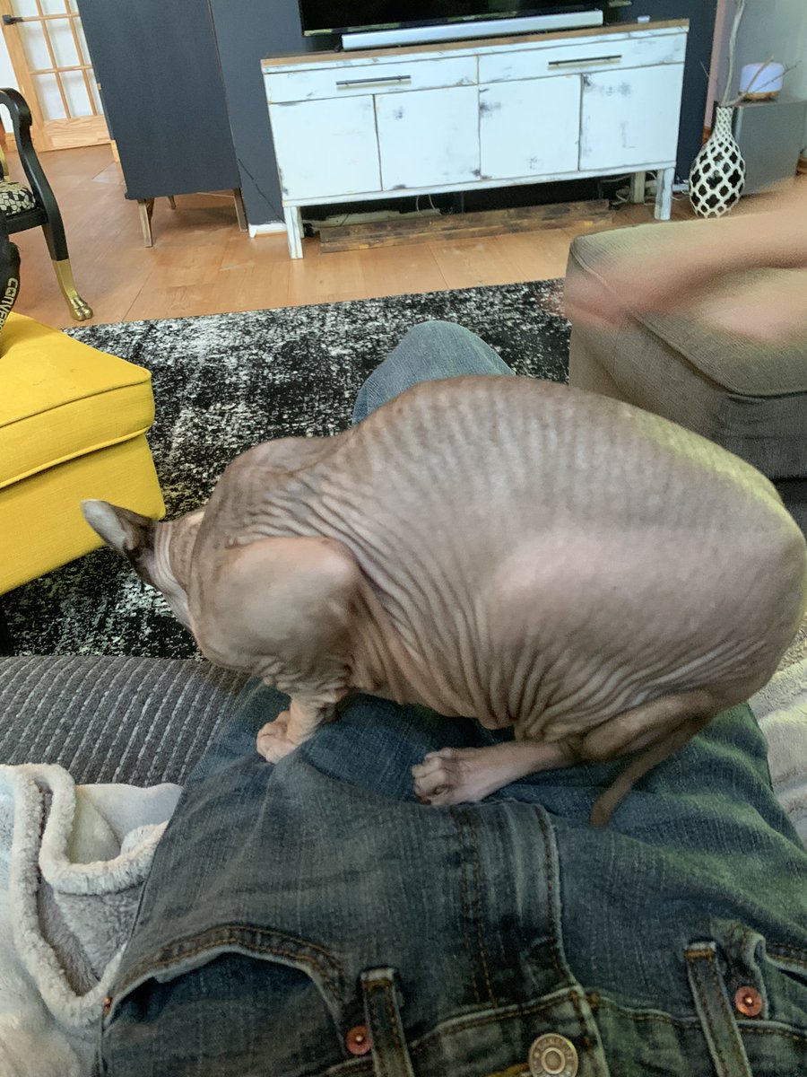 look at this peculiar fellow